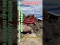НЕКОАСИВАЯ ТОЛСТАЯ - КАК ТЫ МАМА? #смех #юмор #деньги  #здоровье #мудрость ##задорнов #счастье