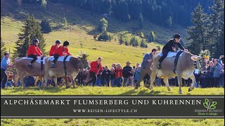 Alpchäsemarkt und Kuhrennen Flumserberg 2023 - reisen-lifestyle.ch