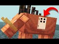 How to LIVE inside a HOGLIN in Minecraft 1.16 Update