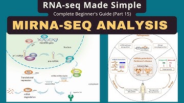 miRNA-seq Analysis Guide for Absolute Beginners (Part 15)