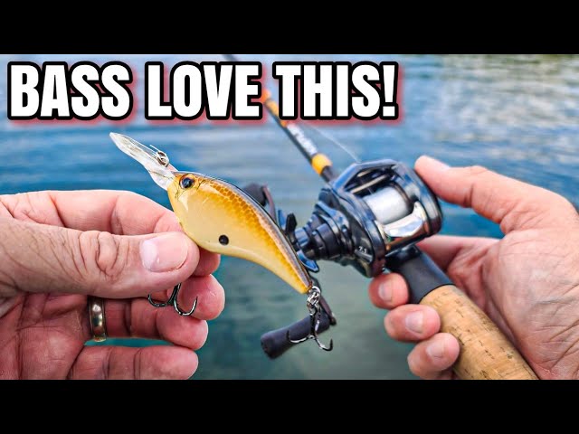 Making Lures TO SELL; Bait Makers Blog & Demonstration 