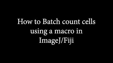 Showing how to use a macro to batch analyse DAB labelled sections