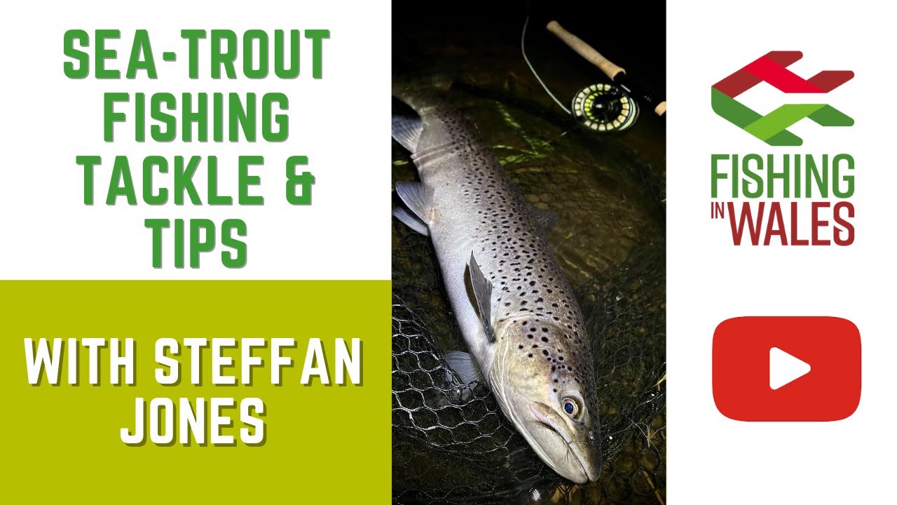 Fishing in Wales Sea Trout Fishing Tips and Tackle YouTube