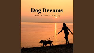 Harmonic Dog Dreams by the Sea