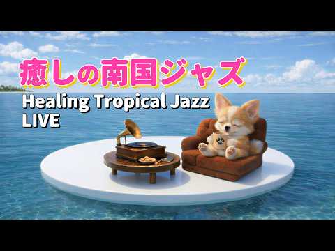 波の音×南国ジャズLIVE配信 | 癒しの作業用BGM | Tropical Healing Jazz for Work & Relax 【24/7】