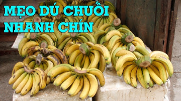 Mẹo ủ chuối nhanh chính đơn giản không dùng hóa chất - Mẹo Vặt Cuộc Sống