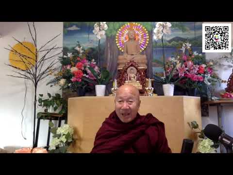 Video: Tại sao Metta lại quan trọng đối với Phật tử?