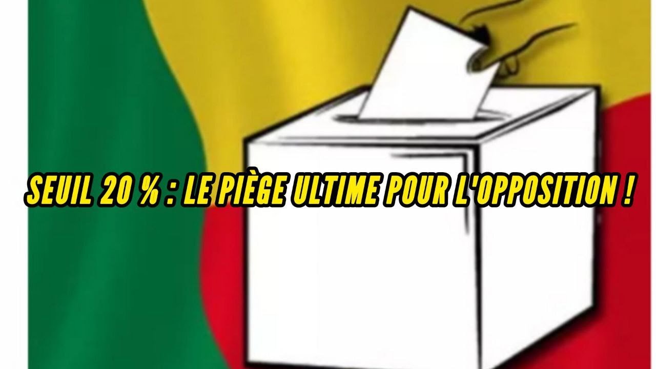 SEUIL DE 20 % : LES PARTIS POLITIQUES VONT ILS SURVIVRE AUX LÉGISLATIVES ?