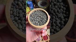 Bamya Tohumunda Dikkat Edilmesi Gereken İki Unsur
