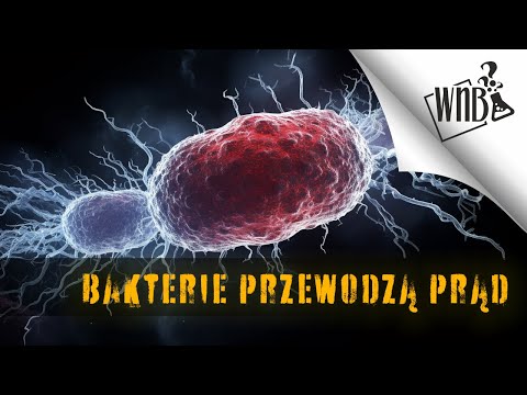 Bakterie mogą przewodzić prąd