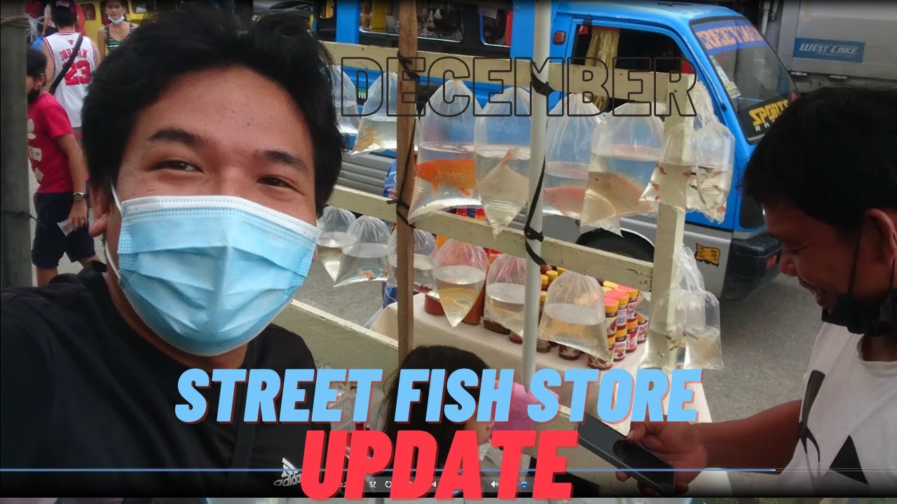 Ornamental fish street vendor | Philippines Local fish market December ep. 3