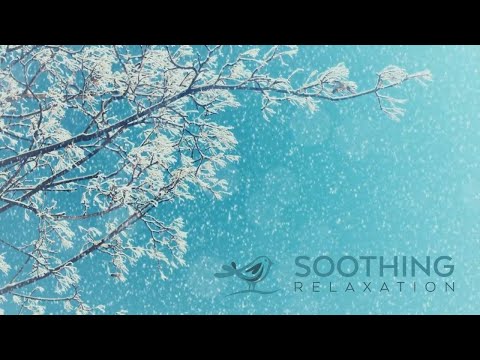 Relaxing Piano Music: Relaxing Music, Spa Music, Yoga Music, Soothing Sleep Music ★119