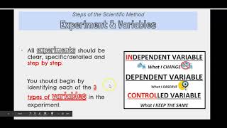 Scientific Method Notes