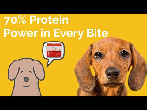 Meal Protein Booster | PetStrong | For Indian Dogs - video from PetStrong