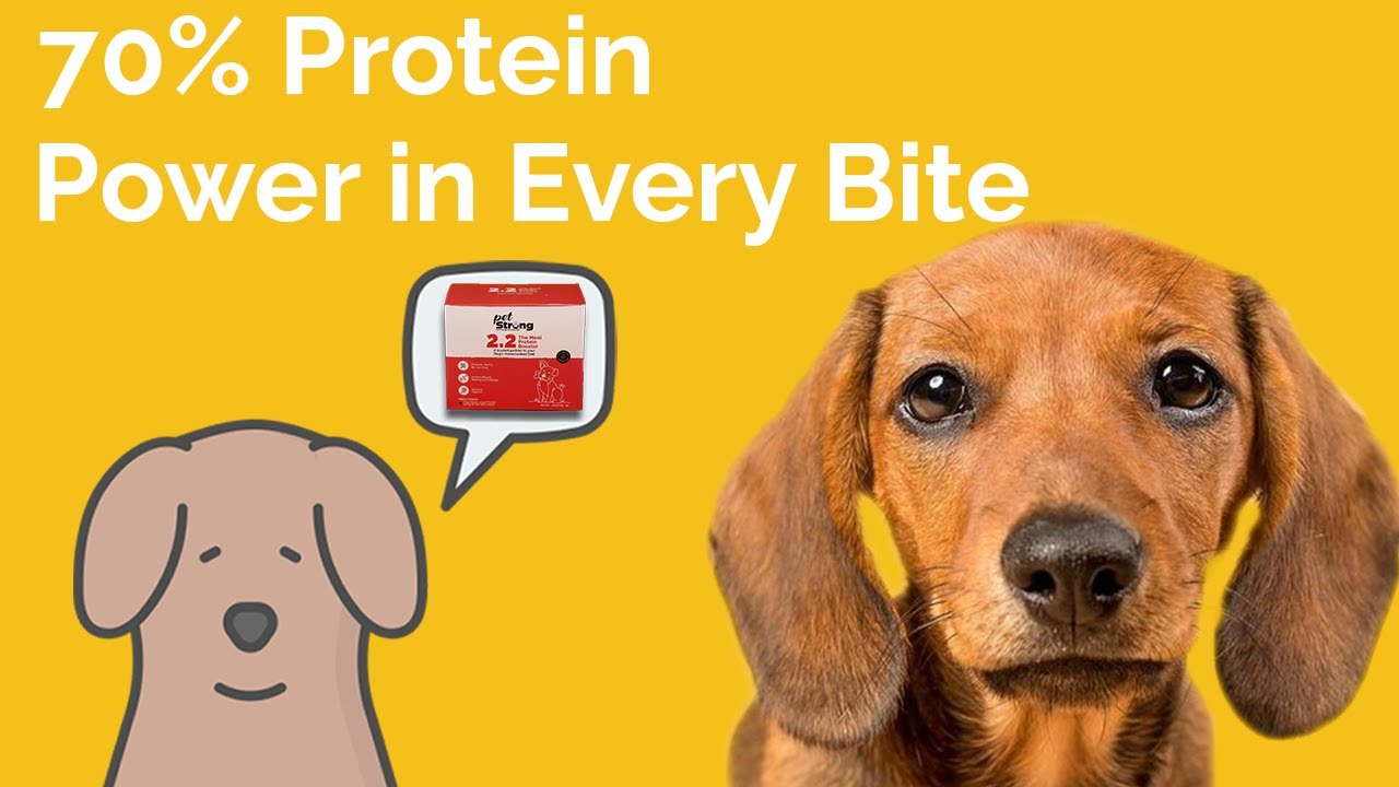 Meal Protein Booster | PetStrong | For Indian Dogs