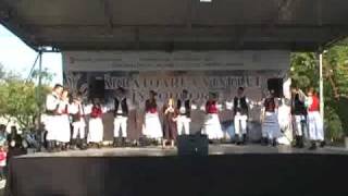 Madalina Boroneamt la Covasint