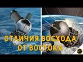 Чем ОТЛИЧАЮТСЯ корабли "ВОСТОК" и "ВОСХОД"?