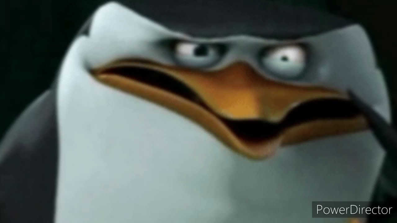 Mr skipper 3 - YouTube