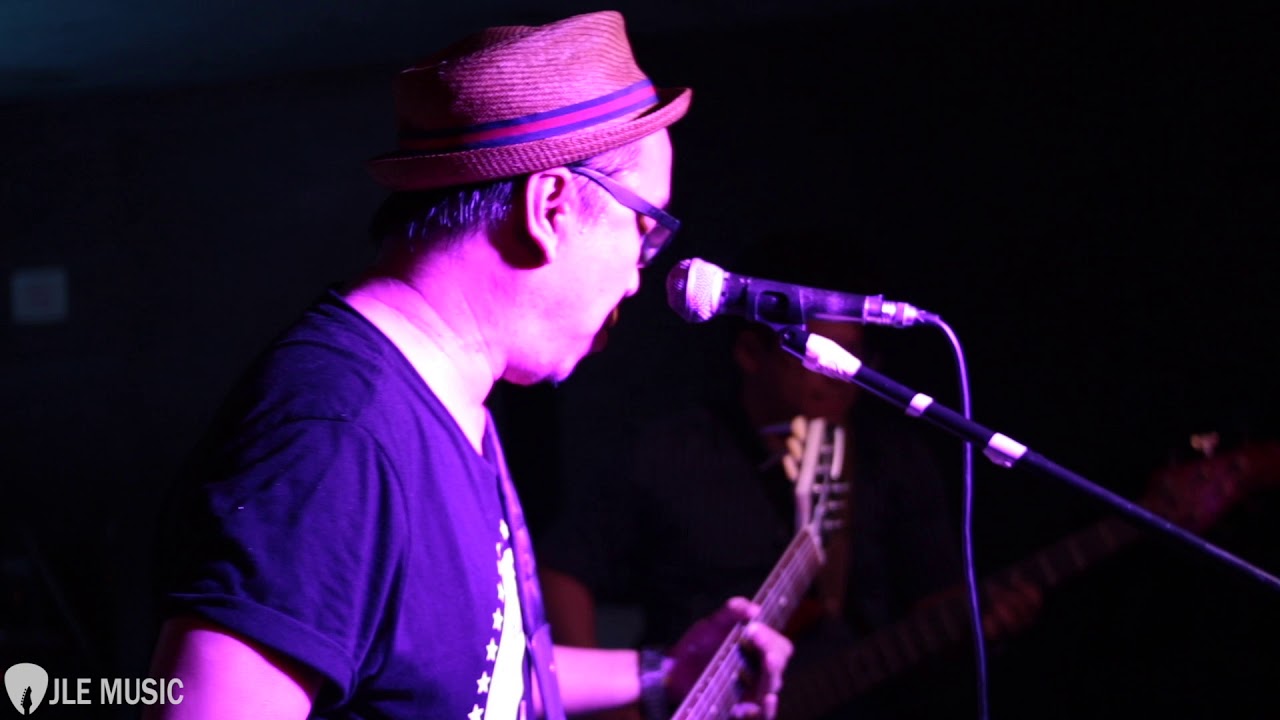 The Purplechickens at Redverb V