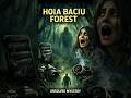 Hoia Baciu Forest: The Devil’s Forest of Romania 👁️🌲