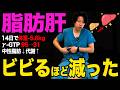 【脂肪肝を改善して瘦せる】脂肪肝を改善して14日で数値を正常化する毒出しセルフケア!首こり・肩こり・頭痛が消える裏技!【脂肪肝 脂質異常症 血圧 血糖値】