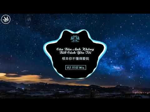 梁爽凉爽   根本你不懂得爱我 DJ 阿福 Remix - Căn Bản Anh Không Biết Cách Yêu Tôi  - Lương Sản Lương Sản