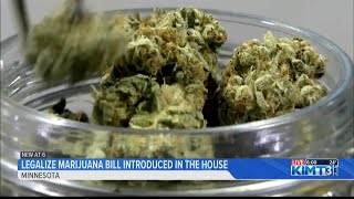MN DFL lawmakers introduce legalize marijuana bill on Thursday