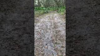 #hiking Wolf Branch Sink Preserve Mount Dora Fl only opened to the public once or twice a year