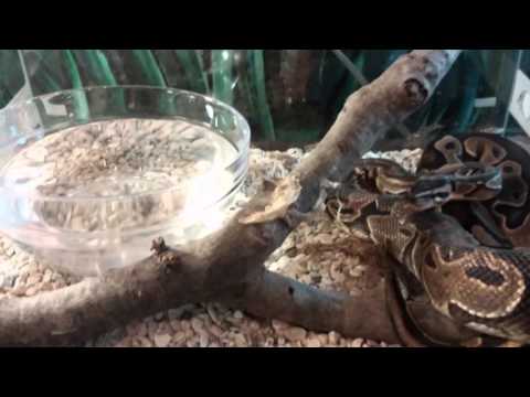 ექსკურსია ფაუნალენდში