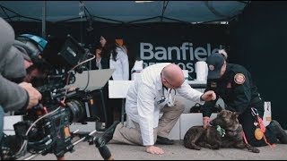 Behind the Scenes of Superpower Dogs | Banfield Pet Hospital