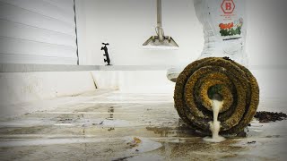This Rug Was ROTTING in the DUMP… Now It Looks UNREAL! Satisfying ASMR Carpet Cleaning.