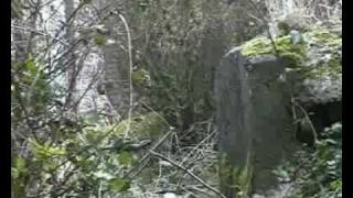 Jeebo Motion Picture.avi