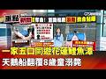 鯉魚潭天鵝船翻覆事件