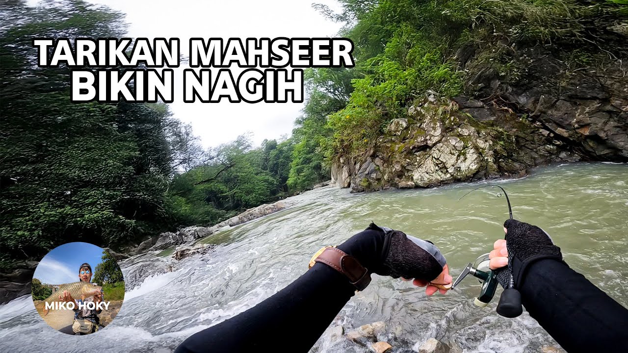 Spot Baru Full Ikan Mahseer Umpan Killer Casting Ikan Mahseer Jawa Neo Soro Mangur Lempon