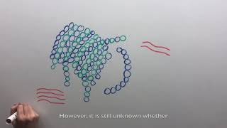 Download Lagu The Importance of Tau Protein in Alzheimer's Disease MP3