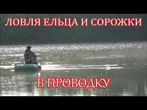 рыбалка в проводку на течении с берега видео бесплатно рыбалка в проводку на течении с берега видео бесплатно