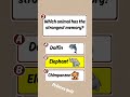quiz video, English quiz, IQ test #quiz #unfrezzmyaccount #english #learnenglish #genralknowledge