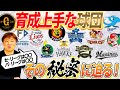 【育成で差が出る秘密をこっそり教えます】プロ野球！選手を育てるのが上手い球団は〇〇が違う！