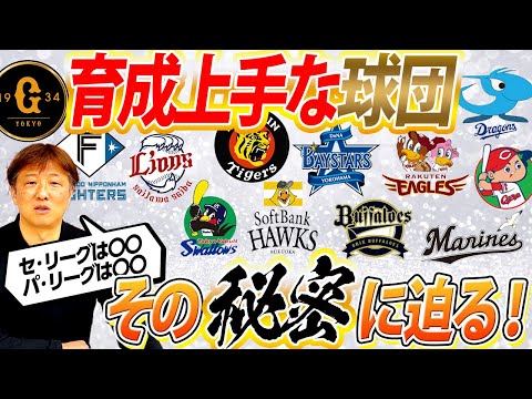 【育成で差が出る秘密をこっそり教えます】プロ野球！選手を育てるのが上手い球団は〇〇が違う！