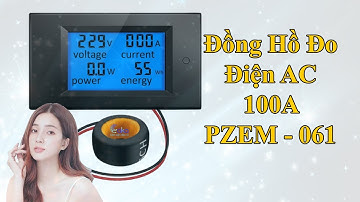 Đồng Hồ Đo Điện AC 100A PZEM - 061 | Linh Kiện Caka