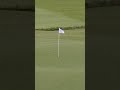 261-YARD ALBATROSS 🤩