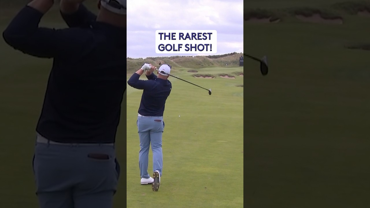 261-YARD ALBATROSS 🤩