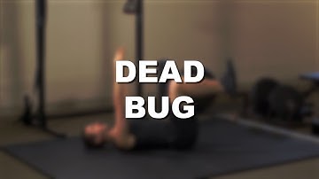 Dead Bug - Exercise Demonstration