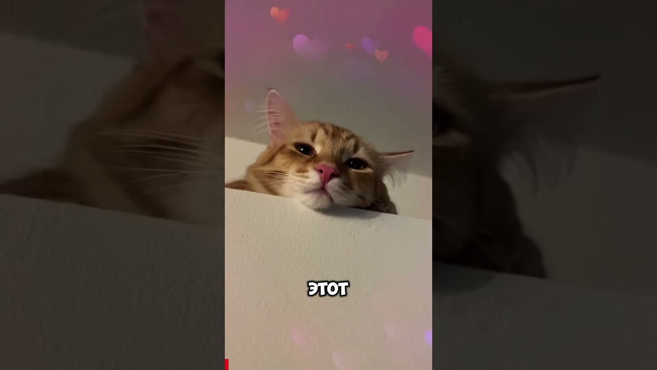 Он заставил свою бабушку буквально подняться в воз