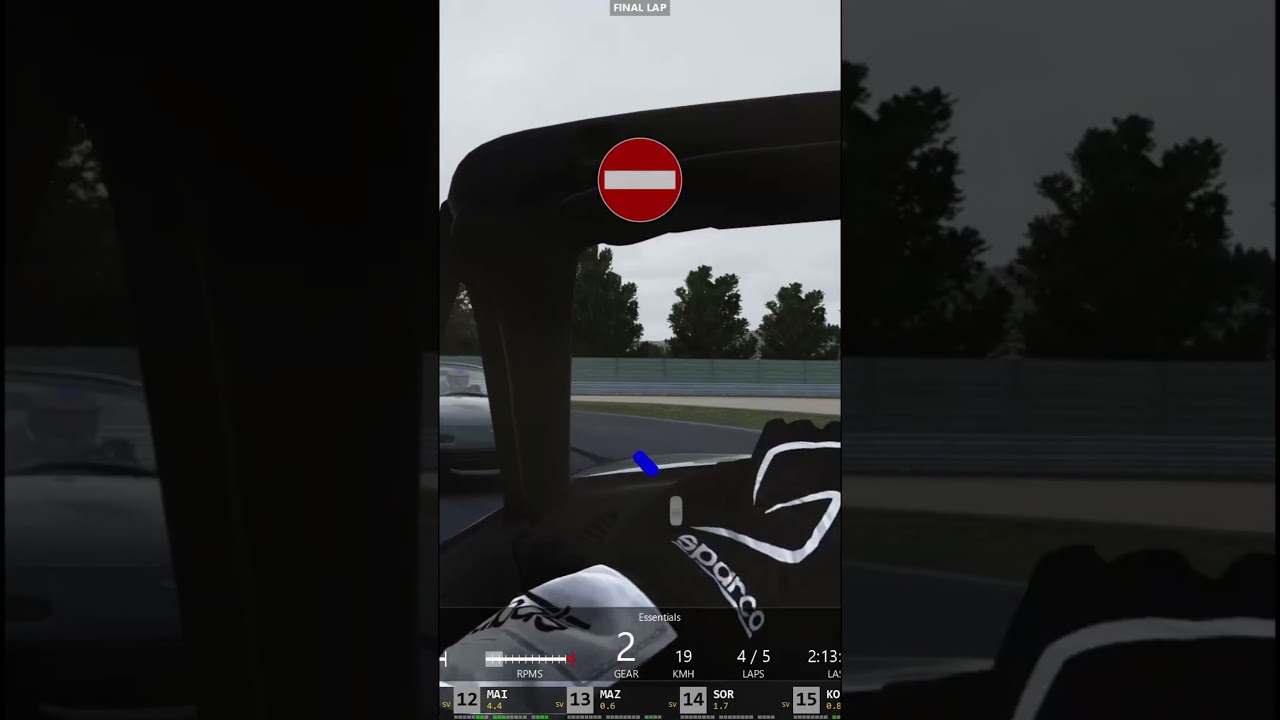 Новички в симрейсинге