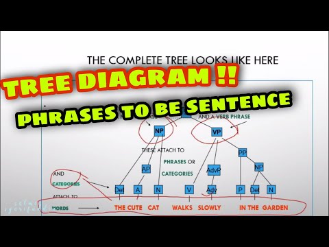 Video: Apa itu pohon struktur frase?