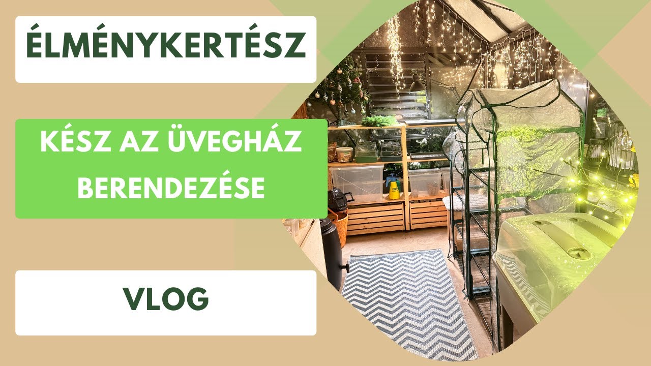 Kész az üvegház berendezése!🪑 - Hol fogok magvetni és palántázni?🌱