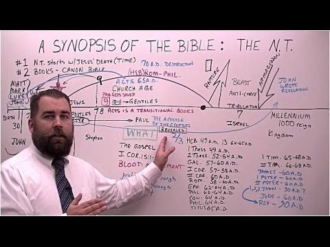 A Synopsis of