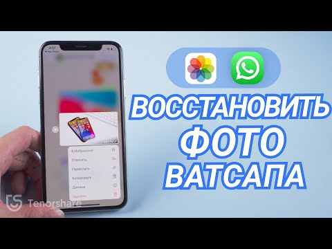 Video: Kako ustaviti shranjevanje vseh fotografij iz WhatsApp-a?