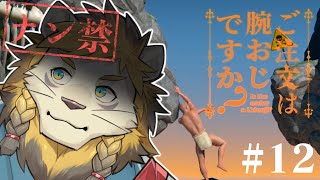 【概要欄必読】ご注文は腕おじですか？ #12【A Difficult Game About Climbing】
